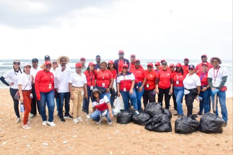 Voluntariado